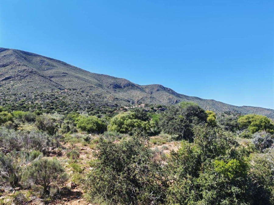 5 Bedroom Property for Sale in Steytlerville Eastern Cape